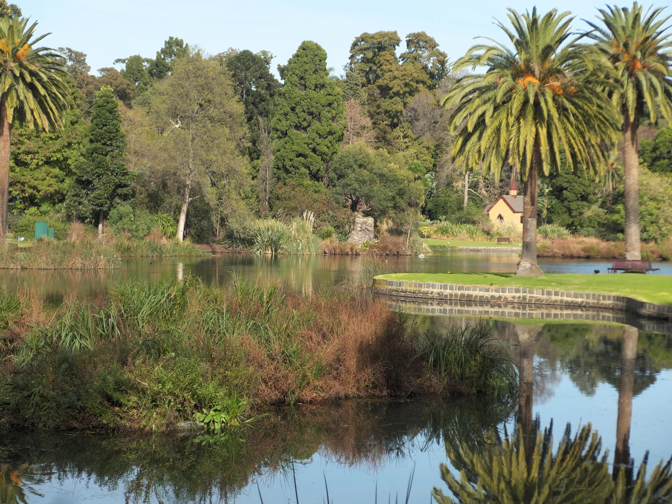 Palm trees and garden beds beside a lake in Melbourne Gardens, with a small yellow building beyond the water.