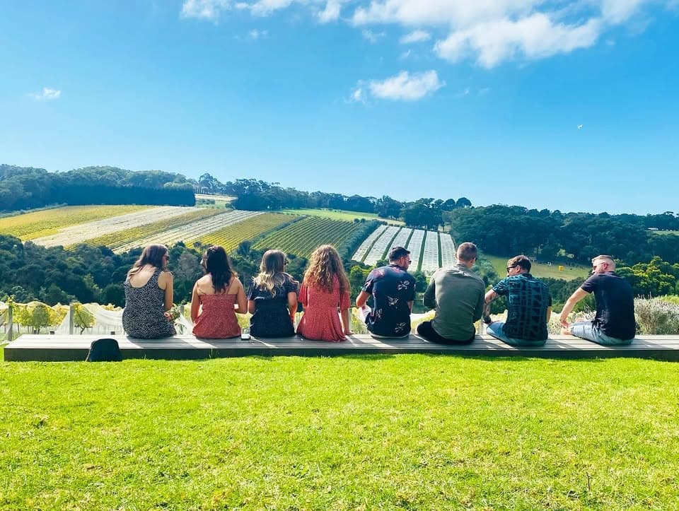 Grape Explorations Australia - Mornington Peninsula Tours hero